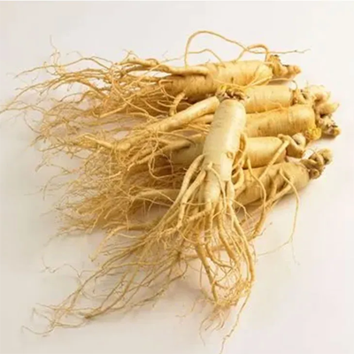 Ginseng root